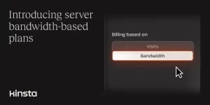 Kinsta mejora su modelo de facturación y no cobrará por tráfico de bots en WordPress 6 Kinsta mejora su modelo de facturación y no cobrará por tráfico de bots en WordPress 4